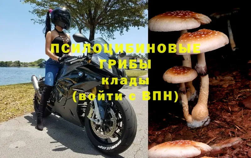 Кетамин Гулькевичи